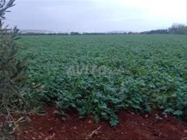 Propriété vente à Berrechid, Gharb-Chrarda-Beni Hssen