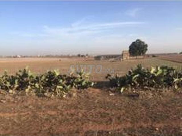 Propriété vente à Oulad Abbou, Gharb-Chrarda-Beni Hssen