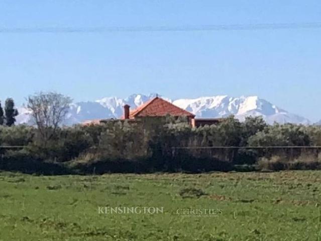Terrain vente à Marrakech, L'Oriental