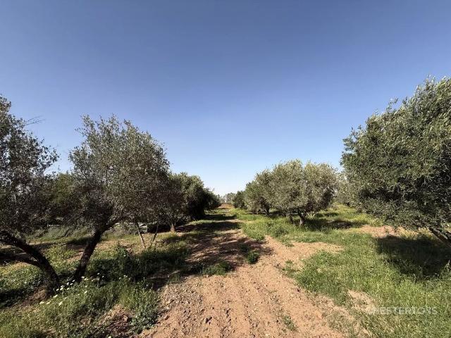 Terrain vente à Tassoultante, L'Oriental