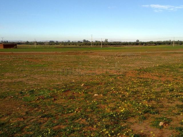 Terrain vente à Al Haouz, L'Oriental