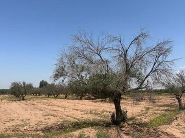 Propriété vente à L'Oriental