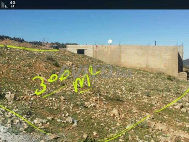 Propriété vente à Imouzzer Des Ida Ou Tanane, Oued ed Dahab-Lagouira