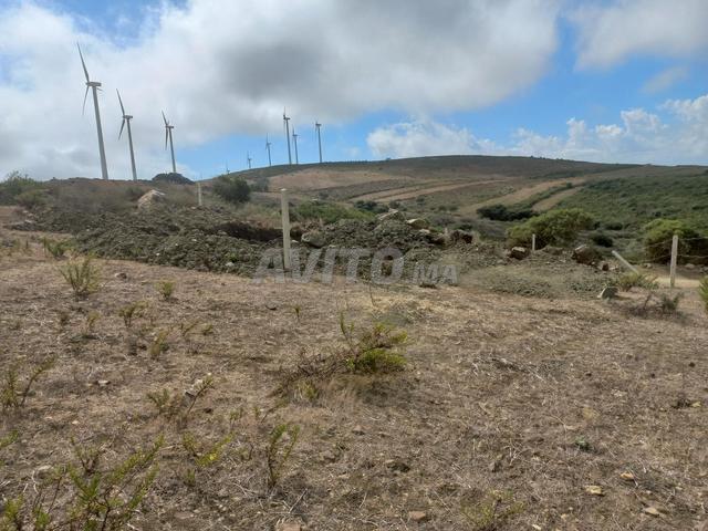 Propriété vente à Tangero, Tanger-Tétouan
