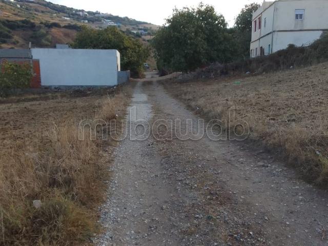 Terrain vente à El Fahs, Tanger-Tétouan