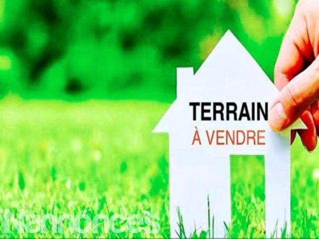 Terrain location