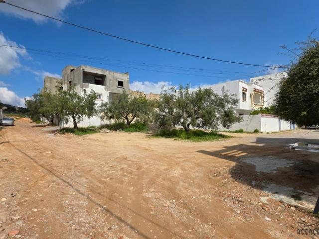 Terrain vente à Nabeul, Beni Khalled