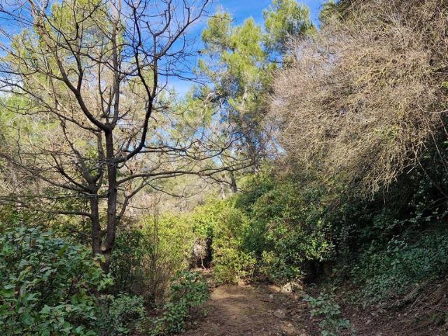 Terrain vente à Montpellier, Montferrier-sur-lez