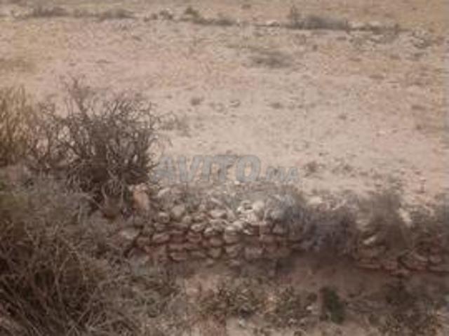 Propriété vente à Agadir, Oued ed Dahab-Lagouira