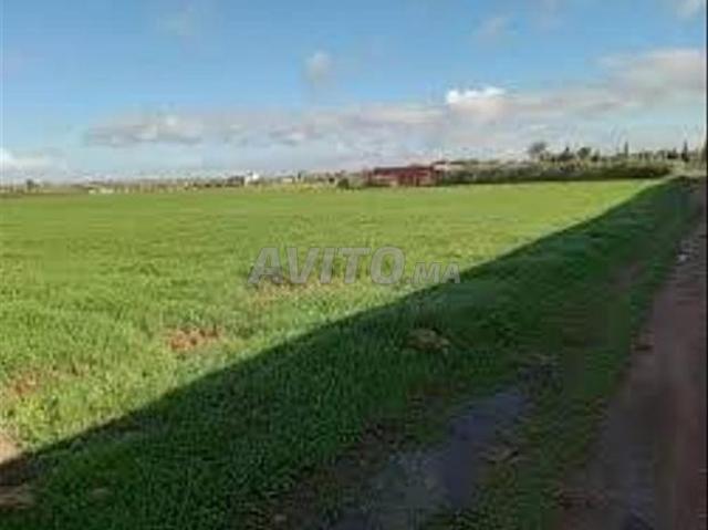Propriété vente à Berrechid, Gharb-Chrarda-Beni Hssen