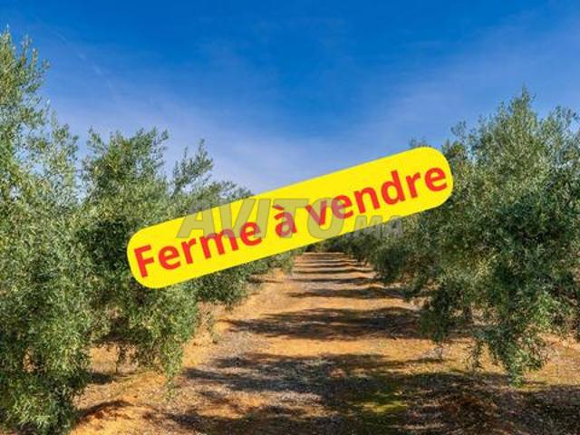Propriété vente à Ben Slimane