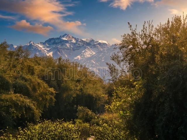 Terrain vente à Marrakech, L'Oriental