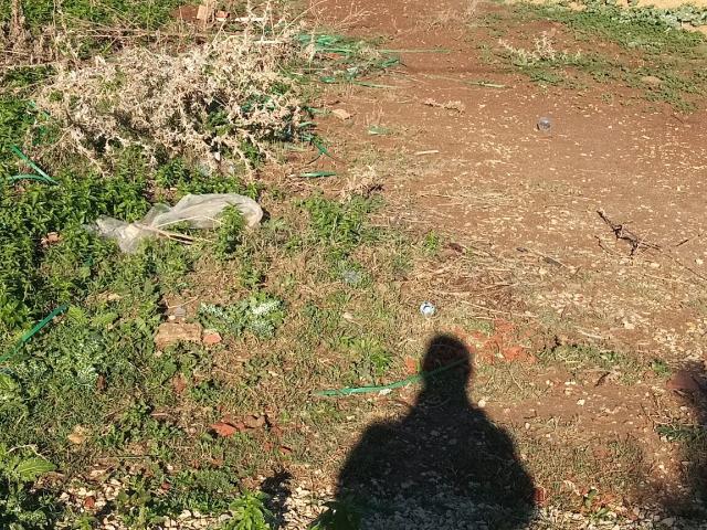 Terrain vente à Ariana, Ariana Ville