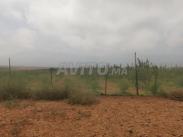 Propriété vente à Préfecture de Marrakech عمالة مراكش, Marrakech-Safi ⵎⵕⵕⴰⴽⵛ-ⴰⵙⴼⵉ مراكش-أسفي