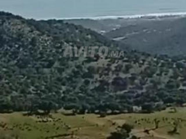 Propriété vente à Agadir, Oued ed Dahab-Lagouira