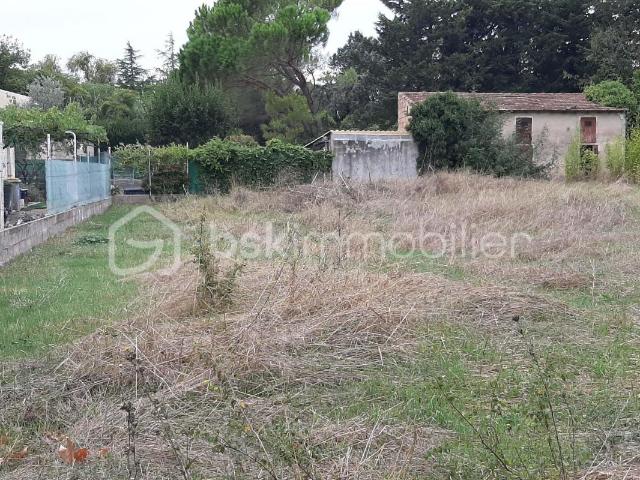 Terrain vente à Montpellier, Saussines