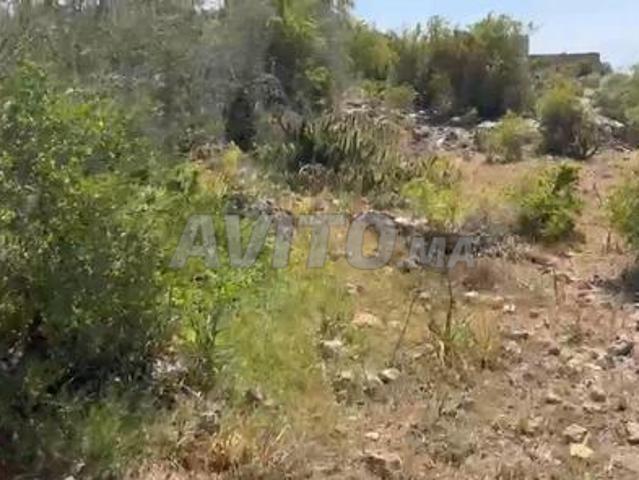 Propriété vente à Oualidia, Gharb-Chrarda-Beni Hssen