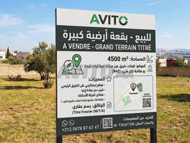 Propriété vente à Taounate