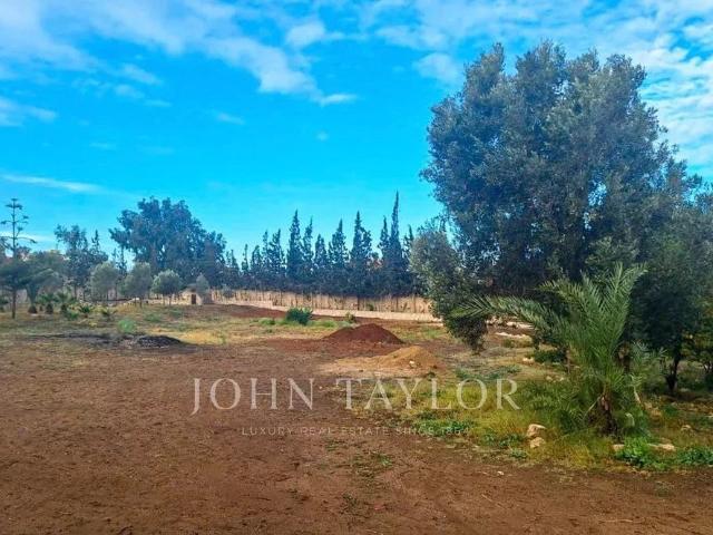 Terrain vente à Essaouira, L'Oriental