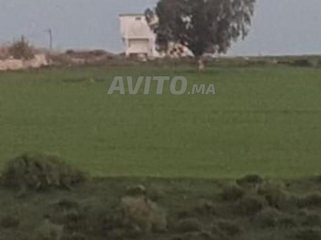 Propriété vente à Aïn Attig