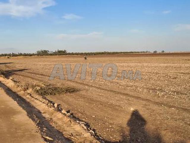 Propriété vente à Oulad Salah, Gharb-Chrarda-Beni Hssen