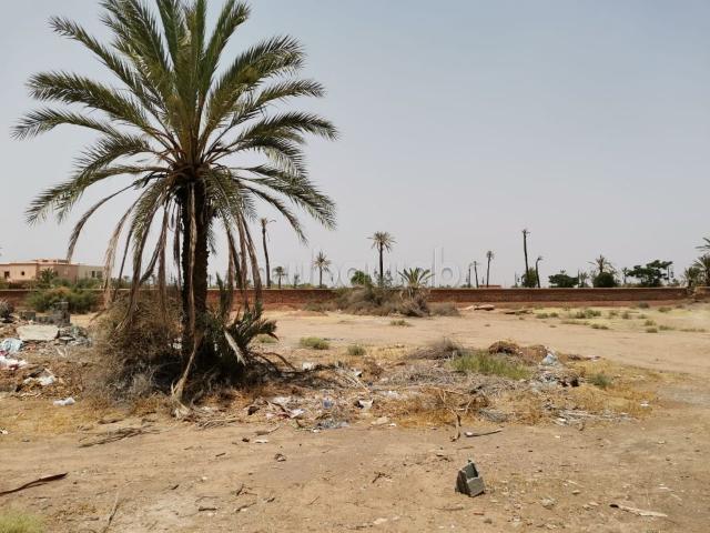 Terrain vente à Marrakech, L'Oriental