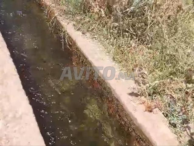 Propriété vente à Ait Ouallal
