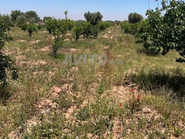 Propriété vente à Al Haouz, L'Oriental