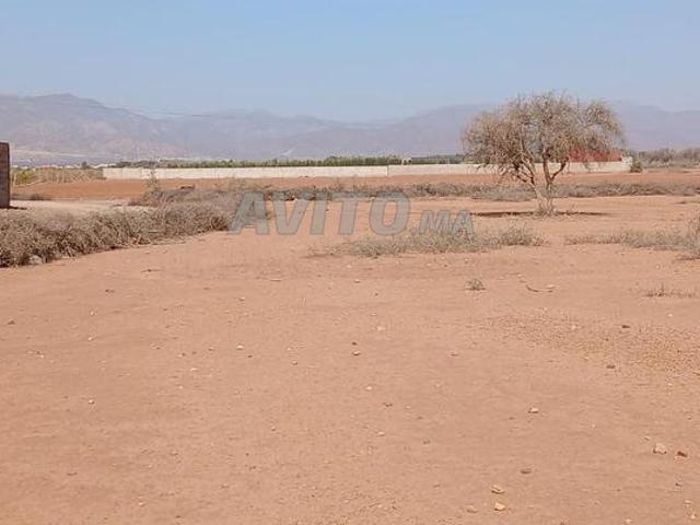 Propriété vente à Ouled, Oued ed Dahab-Lagouira