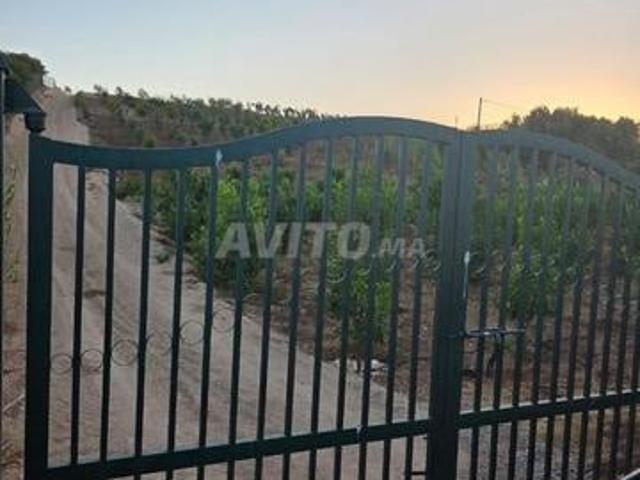 Propriété vente à Sidi Allal El Bahraoui