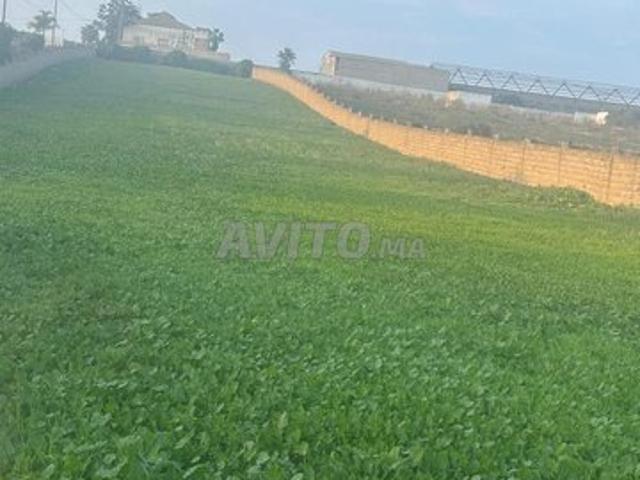 Propriété vente à Aïn Attig, Rabat-Salé-Zemmour-Zaër