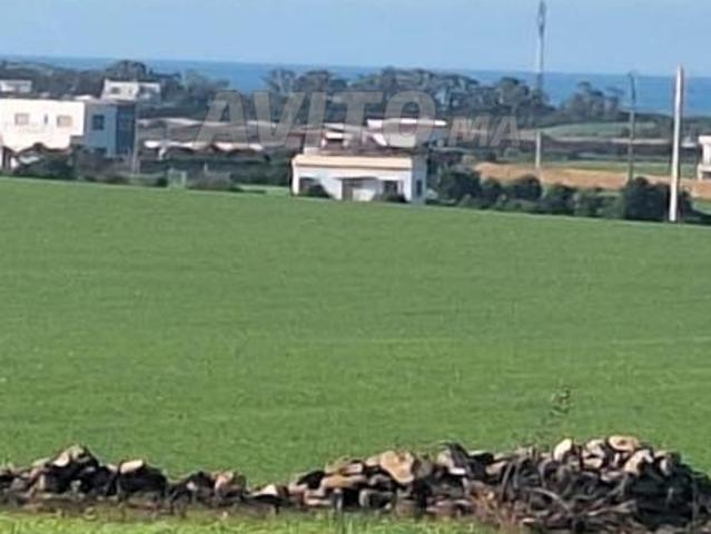 Propriété vente à El Ma, Gharb-Chrarda-Beni Hssen