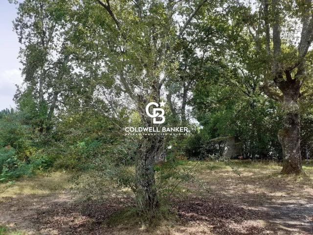 Terrain vente à Arcachon, Andernos-les-bains