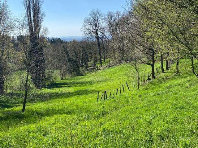 Terrain vente à Lyon, Métropole de Lyon