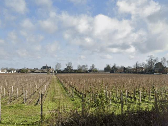 Terrain vente à Pessac