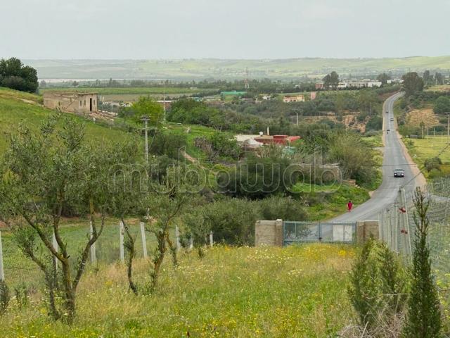 Ferme vente à Salé