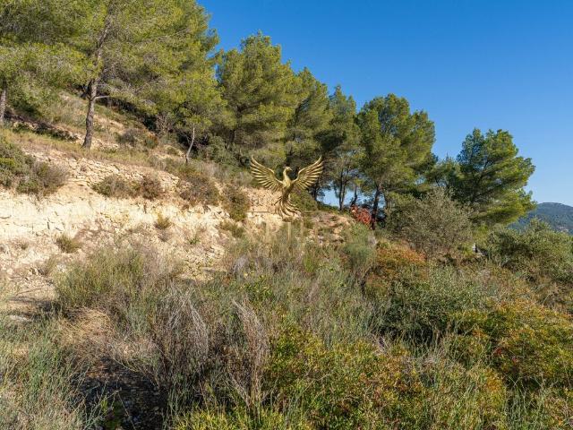 Terrain vente à Arrondissement de Toulon, Bandol