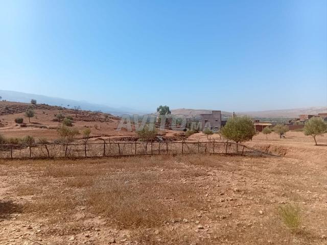 Propriété vente à Al Haouz, L'Oriental