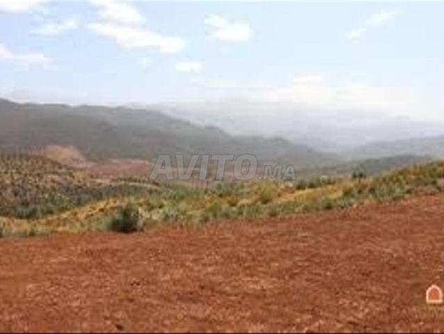 Propriété vente à Mellal