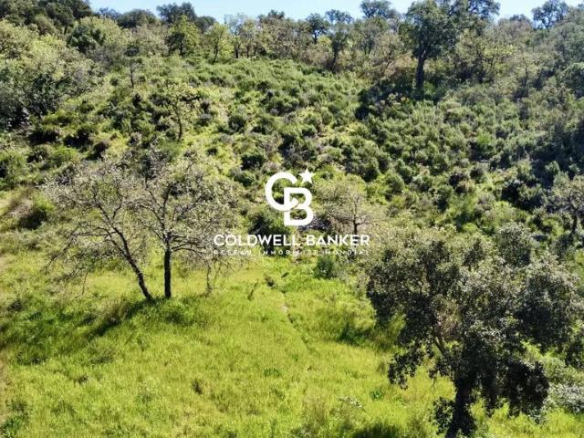 Terrain vente à Arrondissement de Draguignan, Grimaud