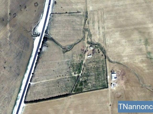 Terrain location