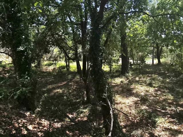 Terrain vente à Arrondissement de Draguignan, Callas