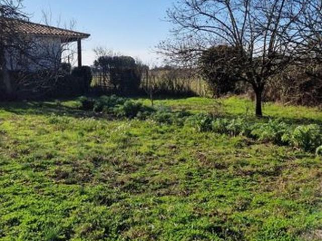 Terrain vente à Montpellier, Mauguio