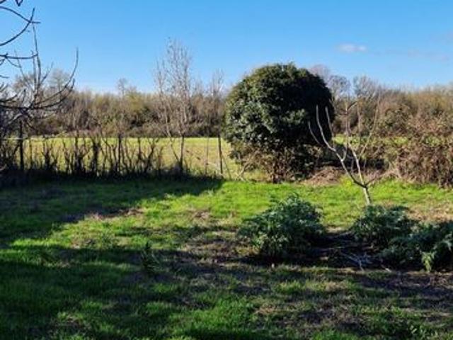 Terrain vente à Montpellier, Mauguio