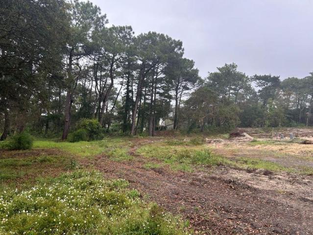 Terrain vente à France métropolitaine, Seignosse