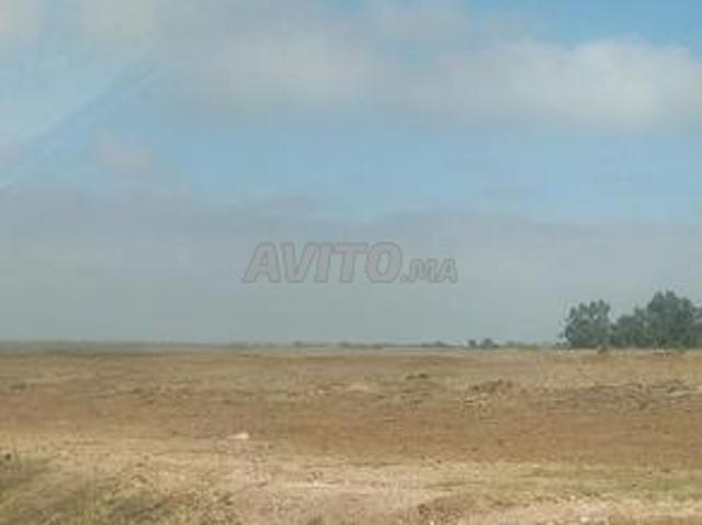 Propriété vente à El Ma, Gharb-Chrarda-Beni Hssen