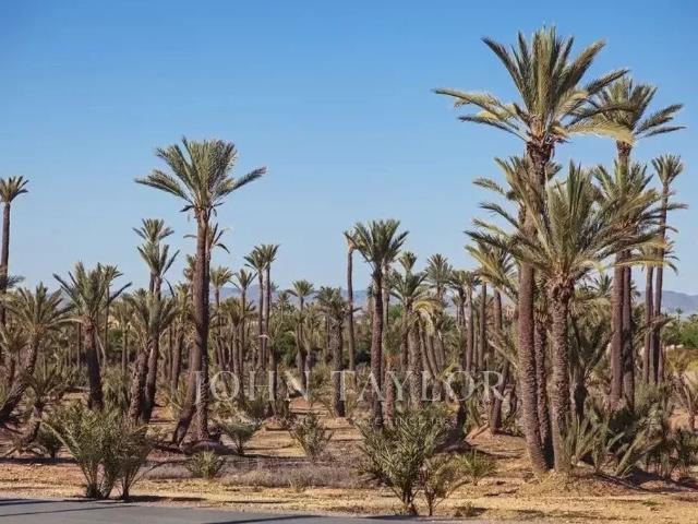 Terrain vente à Marrakech, L'Oriental
