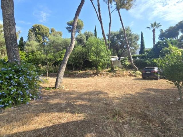 Terrain vente à Arrondissement de Toulon, Carqueiranne