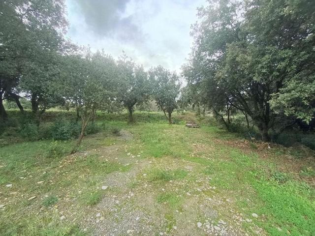 Terrain vente à La Garde-adhémar