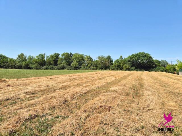 Terrain vente à Toulouse, Le Burgaud
